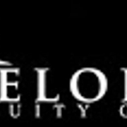 Pelorus Equity Group’s Pelorus Fund Announces Record Year Of Growth/Returns